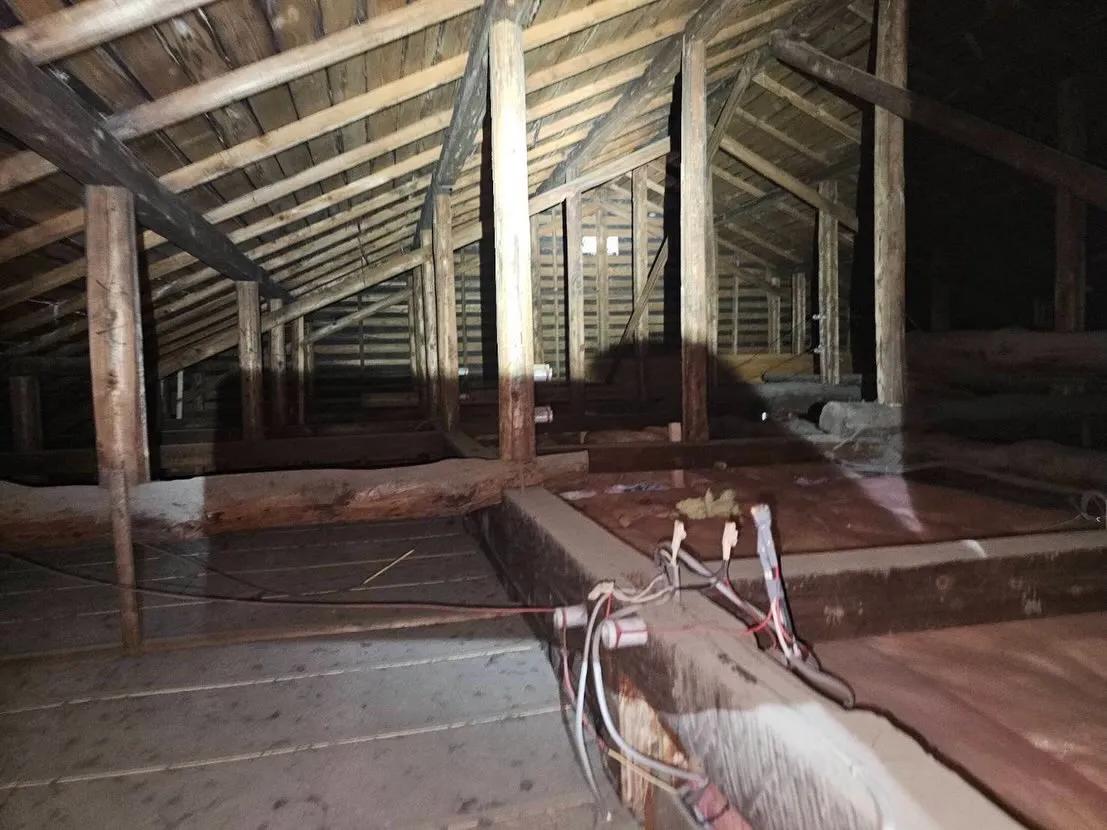 害獣駆除も🦡💥