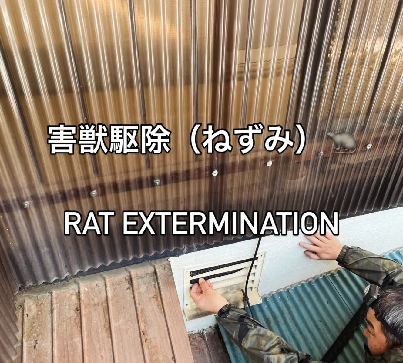 害獣駆除(八王子市)